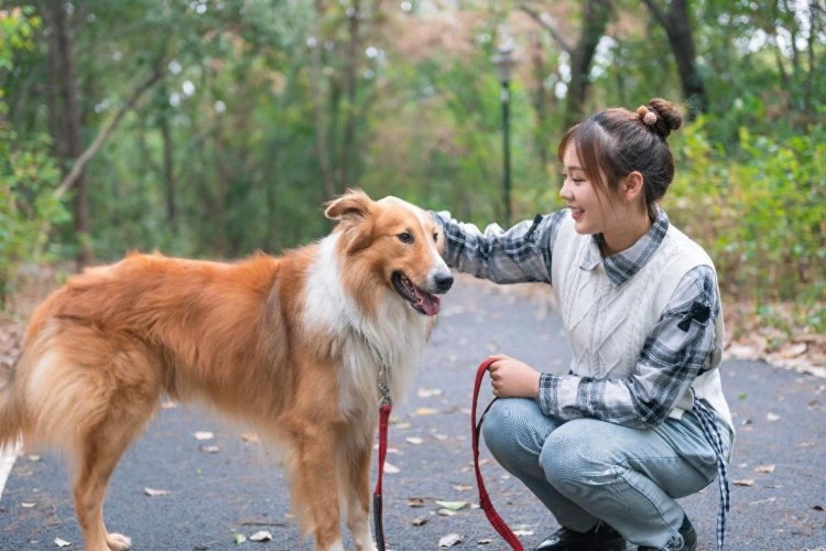 提示：养狗可能会对“女性健康”产生这些影响，千万不要大意！