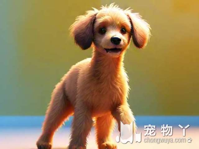 想知道北京MY PET STORE宠集有哪些小可爱可以领养吗？